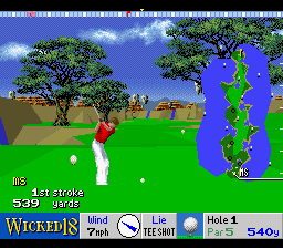 Wicked 18 (USA) In game screenshot